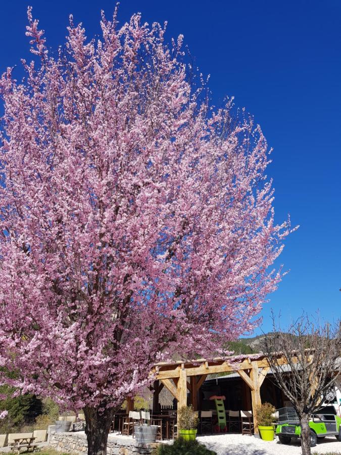 Camping Calme Et Nature Castellane Eksteriør billede